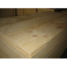 1220 * 2440 okoume face pine core plywood-1